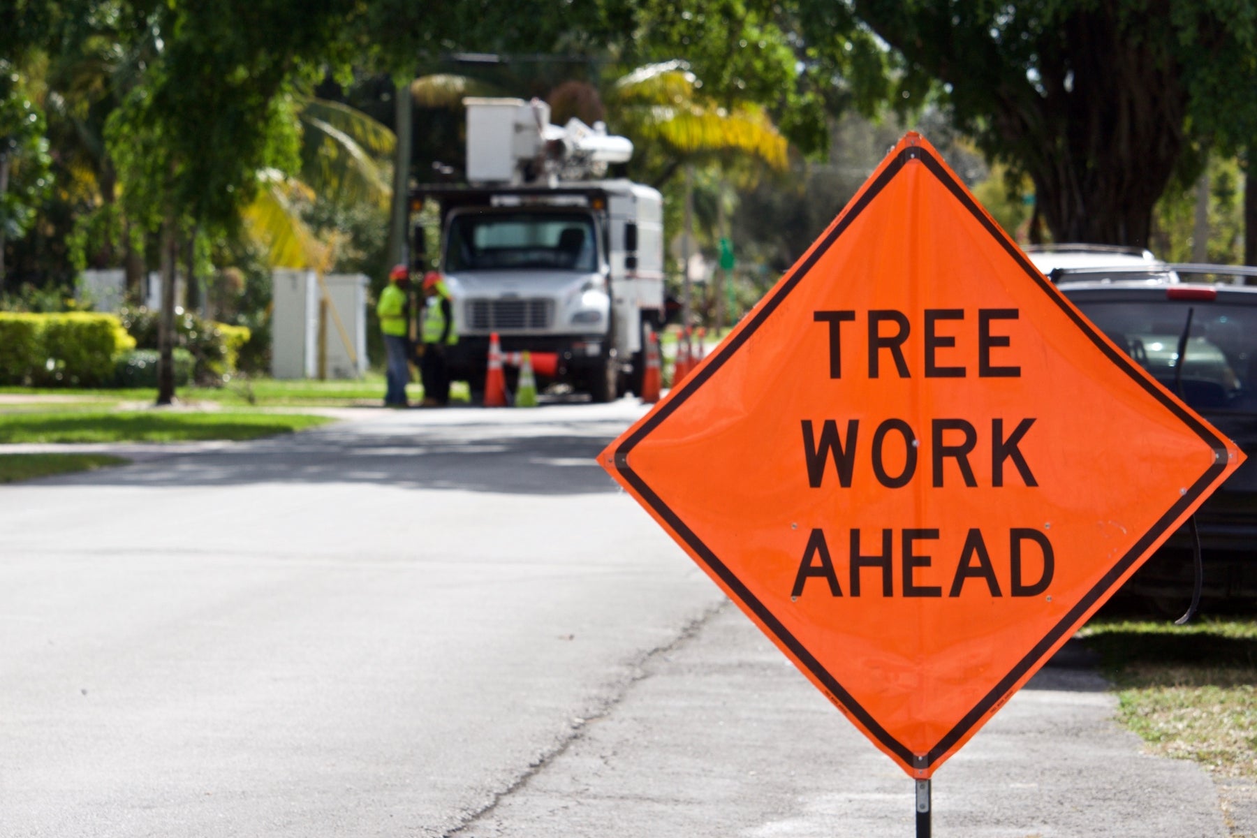 Using a Tree Work Ahead Sign to Protect Pedestrians and Drivers in Work Zones