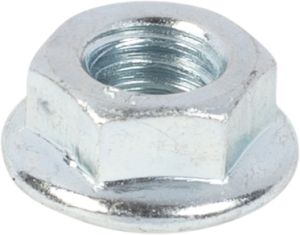 Hex Flange Nut (Zinc Plated)